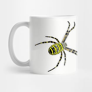 Wasp spider Argiope bruennichi Mug